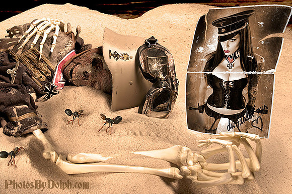 The Afrika Corpse and the Desert Fox
