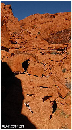 Rubber Rocks