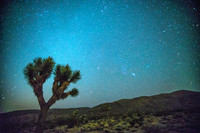 Joshua Tree, California