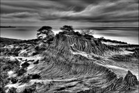 Torry Pines, California