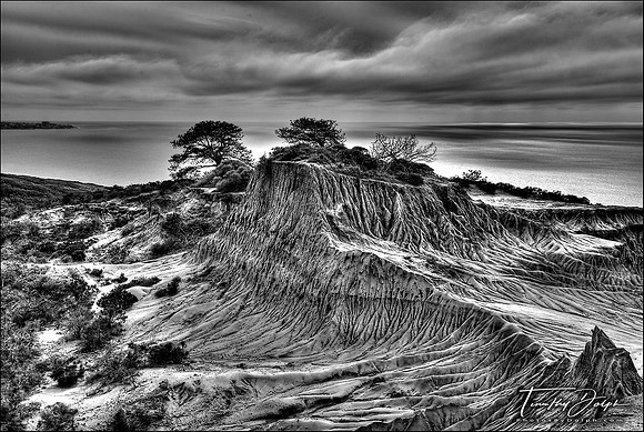 Torry Pines, California