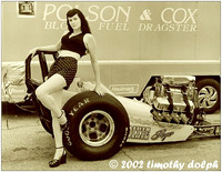PolsonandCox
